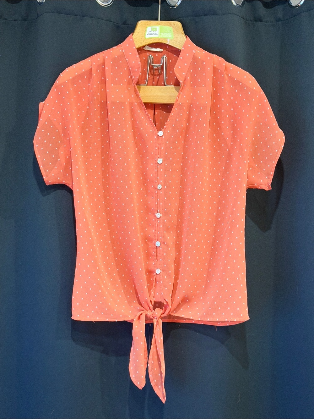 Women’s Large Sheer Coral Cottagecore Classic Button-Front Tie Blouse